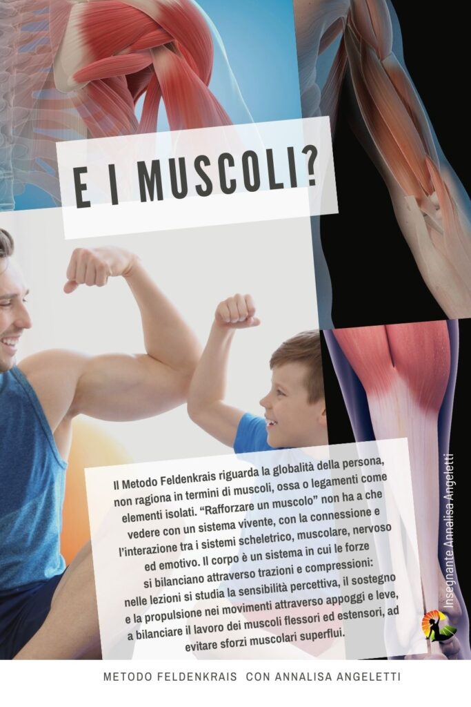 E i muscoli?