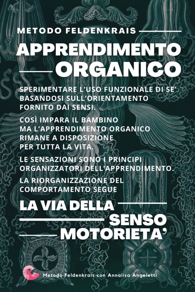 Apprendimento organico e la via della sensomotorietà.